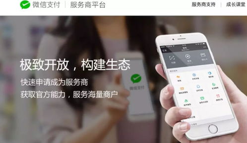 江蘇中理網絡科技 服務商定位、準入路徑與網絡技術服務解析